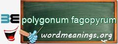 WordMeaning blackboard for polygonum fagopyrum